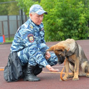 ПО СЛЕДАМ ПРЕСТУПЛЕНИЙ 